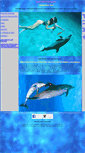Mobile Screenshot of dolphindreamteam.com