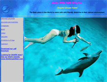 Tablet Screenshot of dolphindreamteam.com